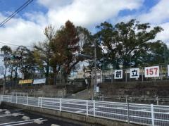 盈進小学校