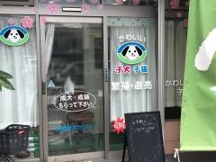 石橋愛犬センター