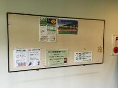 グリーンゴルフ赤坂