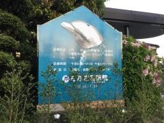 さかざき医院