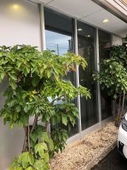 にし内科胃腸科