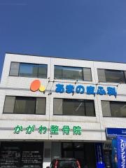 あまの皮ふ科