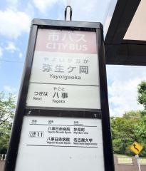 「弥生ケ岡」バス停留所