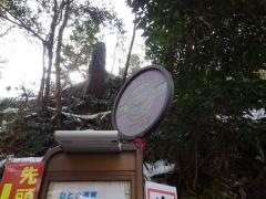 「貴船口駅前」バス停留所