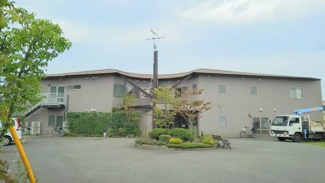 はなみずき