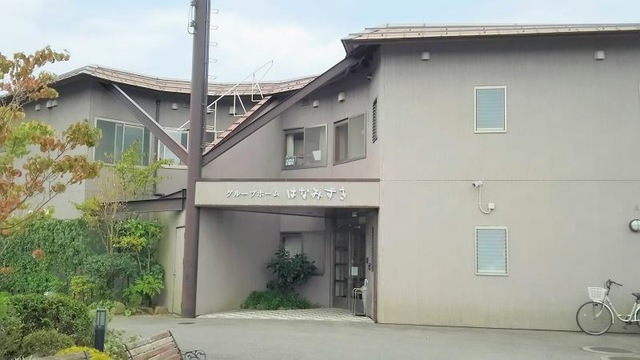 はなみずき