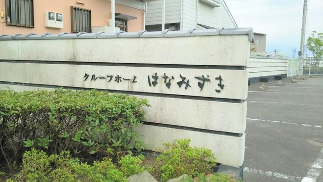 はなみずき