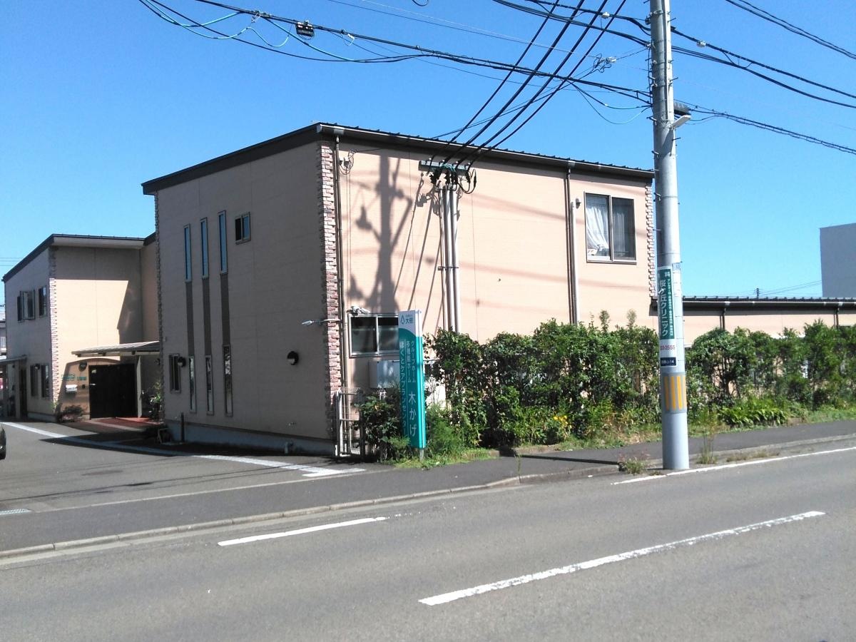 木かげ
