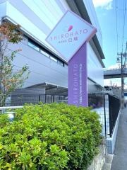 株式会社白鳩