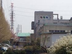 北本市立東小学校