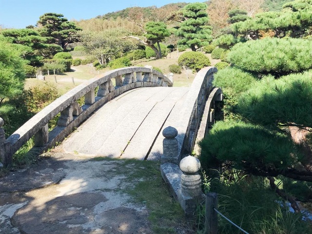 投稿写真4