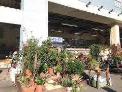ホームプラザナフコ　茅野店