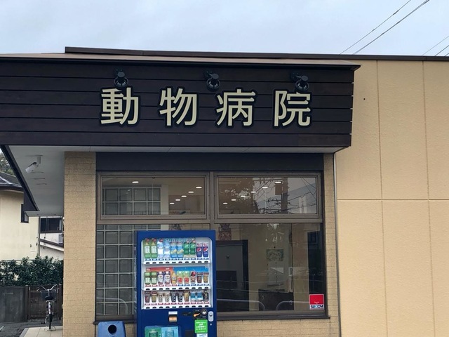 投稿写真4
