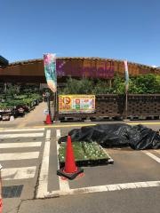 カンセキ真岡店