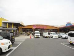 カンセキ真岡店