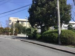 真弓小学校