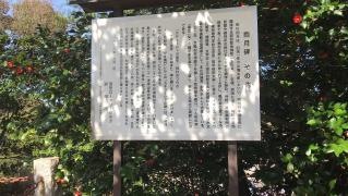 浜田城跡