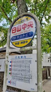 「白山中央」バス停留所