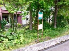 「芦の湯温泉入口」バス停留所