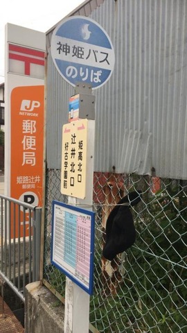 バス部品　神姫バス　バス停看板　明石公園北口 神姫バス「下手野北口」バス停留所／ホームメイト