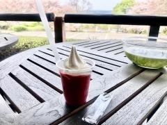 山の貯蔵場　紅乙女酒造