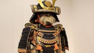 本陣