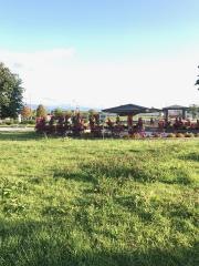 奥野中央公園