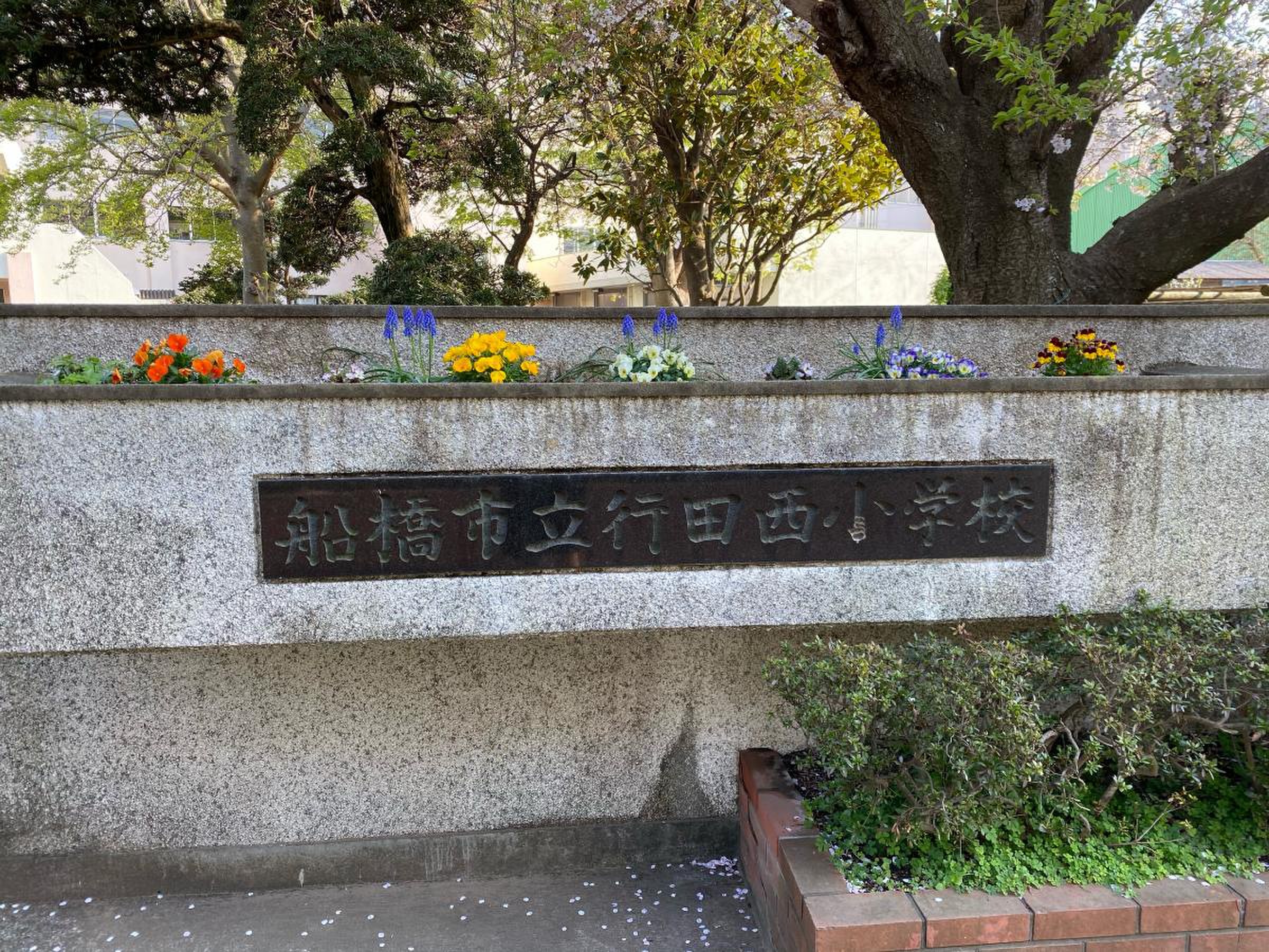 行田 市立 西 小学校