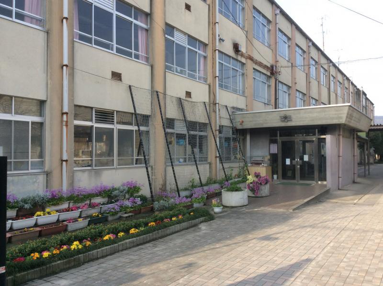 活動歴および当時の関連ビジュアル記録