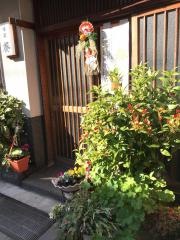葵
