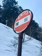 「桂坂」バス停留所