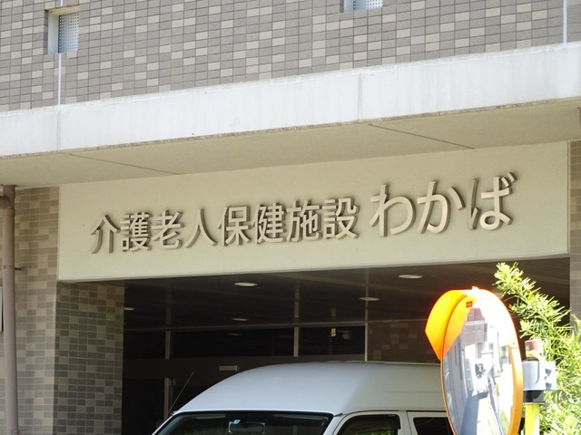 わかば