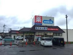 ウエルシア　太田石原店