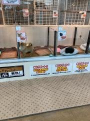 ビバペッツ　小山店