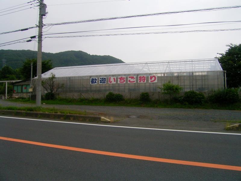 ﾊｳｽ