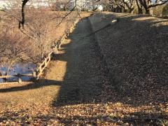 台山高森工業団地公園