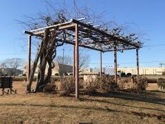 台山高森工業団地公園