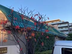 社会福祉法人イクソス会とつかルーテル保育園
