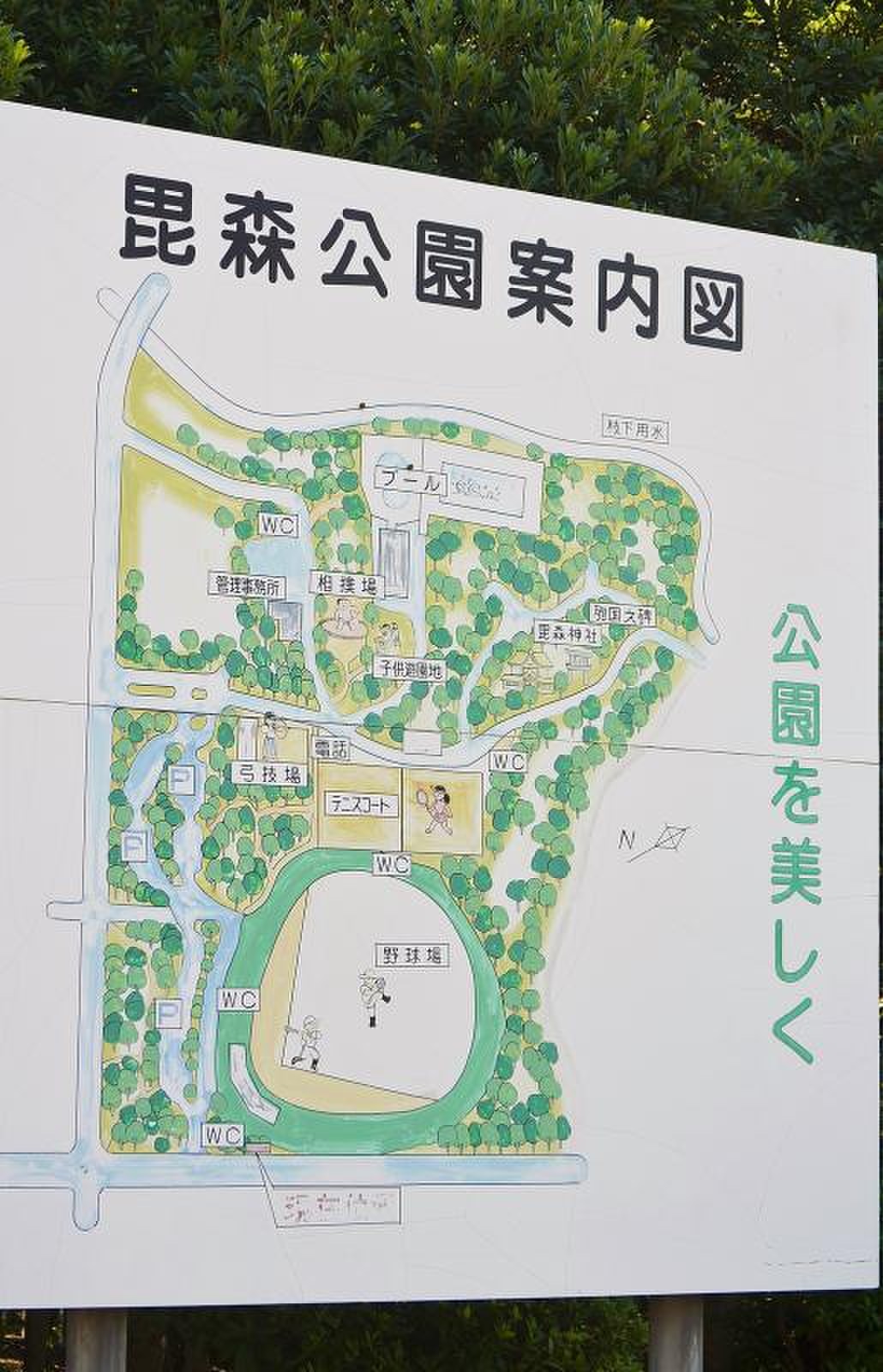 活動歴および当時の関連ビジュアル記録