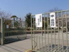 修学院小学校
