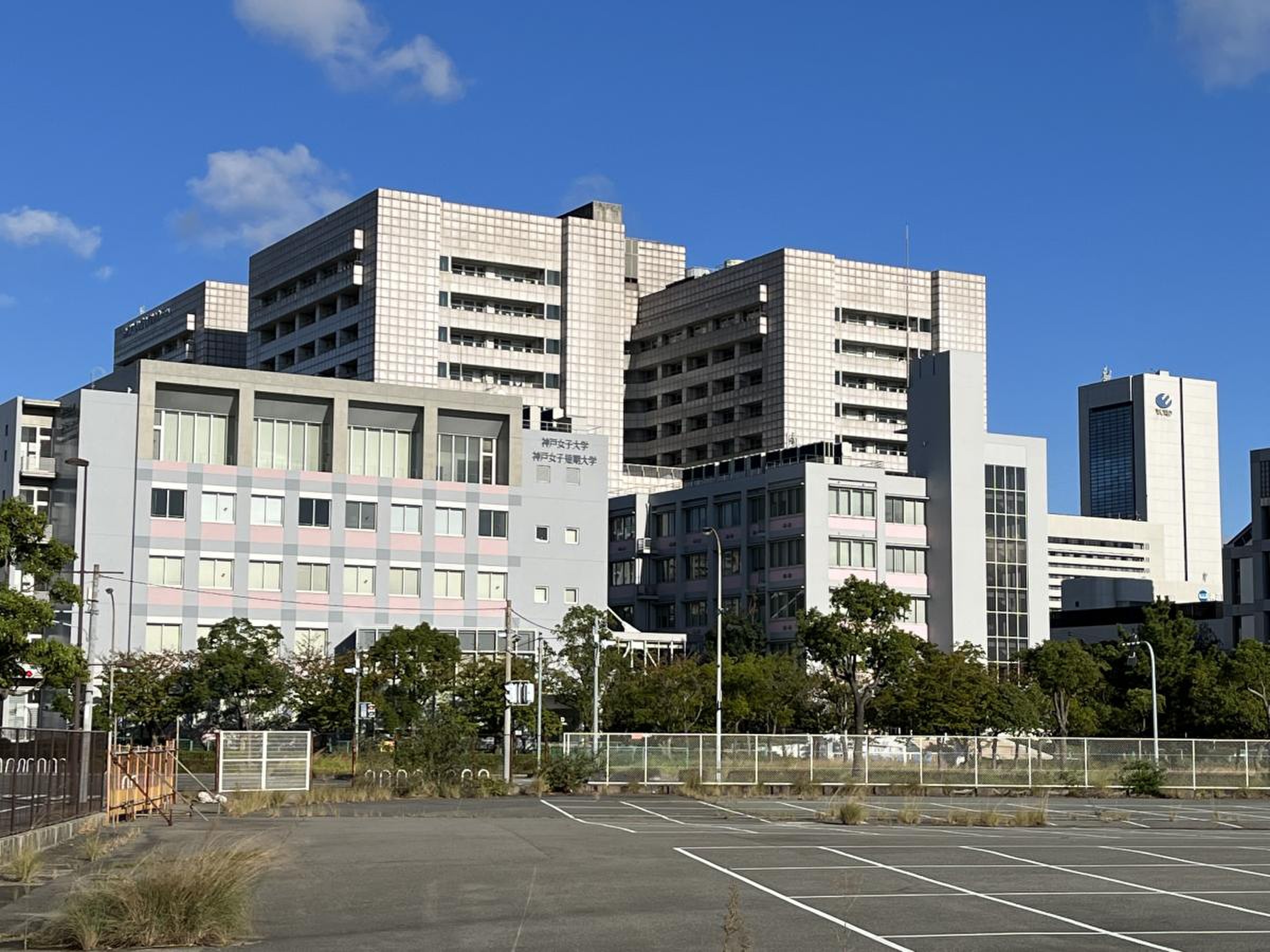 神戸 女子 大学