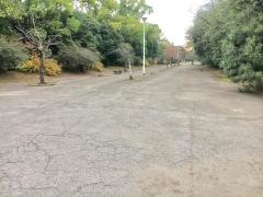 日岡公園