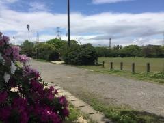 日岡公園