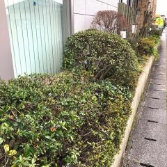 しまだこどもクリニック
