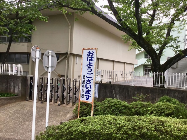 投稿写真1