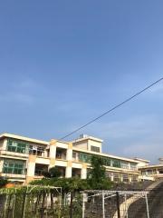 豊山小学校