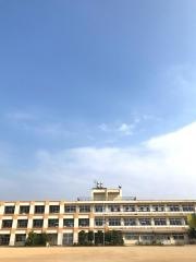 豊山小学校