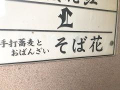 そば花
