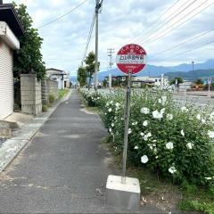 「上山市役所前」バス停留所