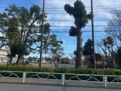 誉田小学校